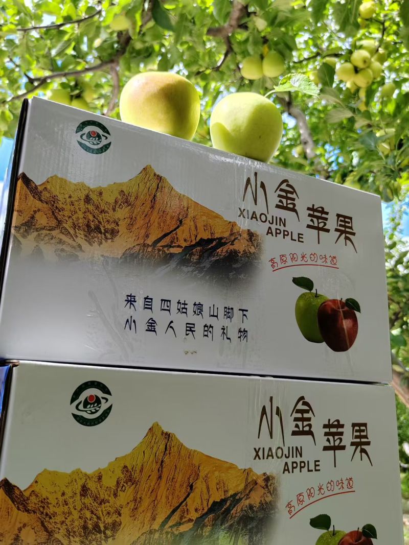 小金青苹果