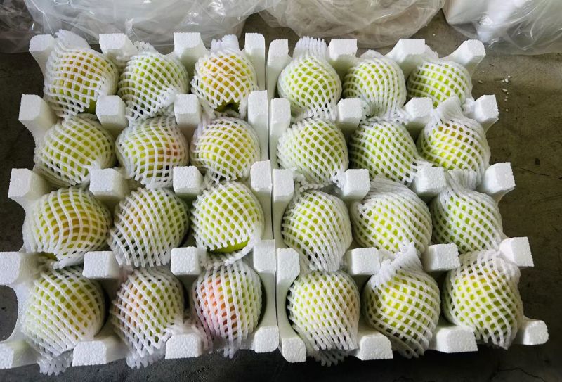 小金青苹果