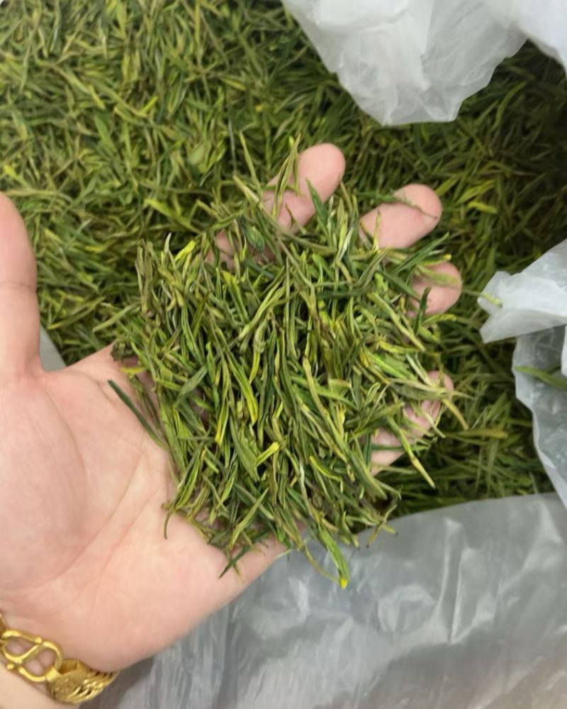 白茶毛峰