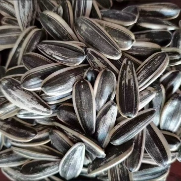 精品瓜子电商供应链，商超精品，代发。各种口味