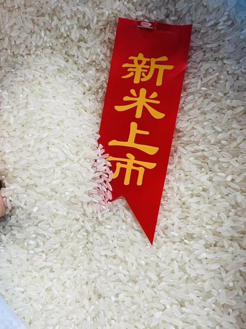 五常稻花香二号