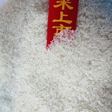 五常稻花香二号
