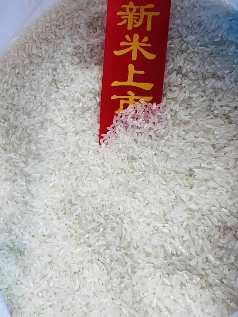 五常稻花香二号
