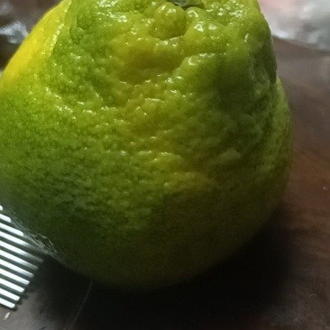 爱媛