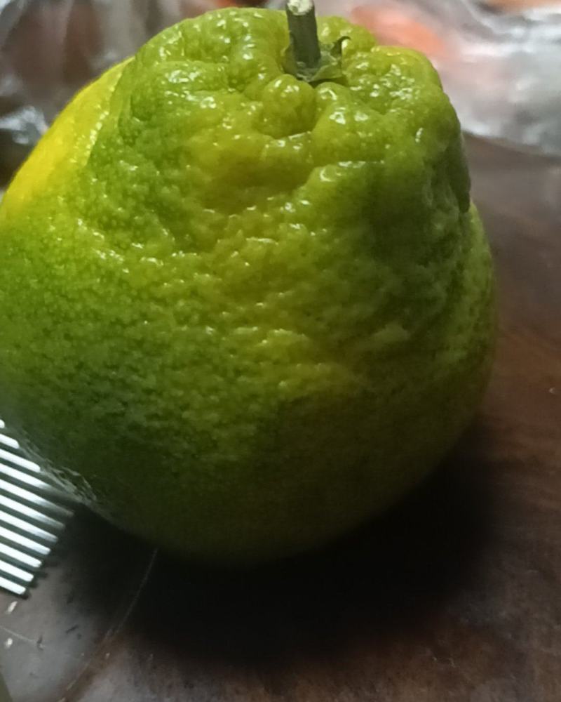 爱媛