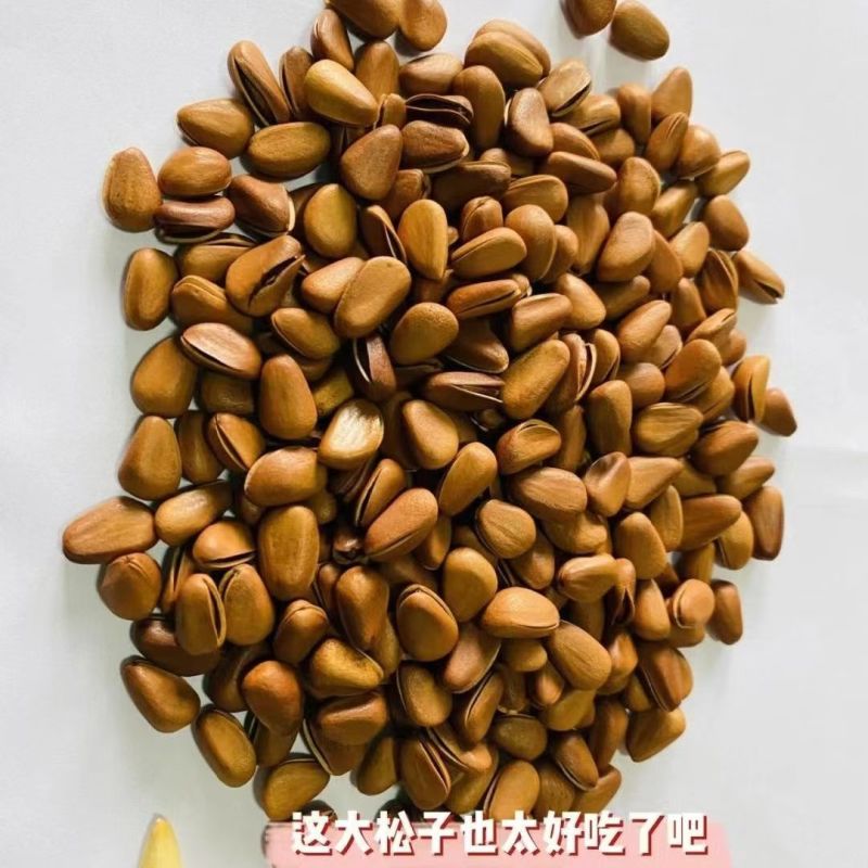 又一批松子已装好后天到，前一批所剩不多，明天有大单量的提前联