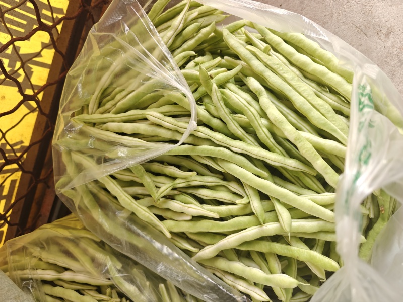 芸豆