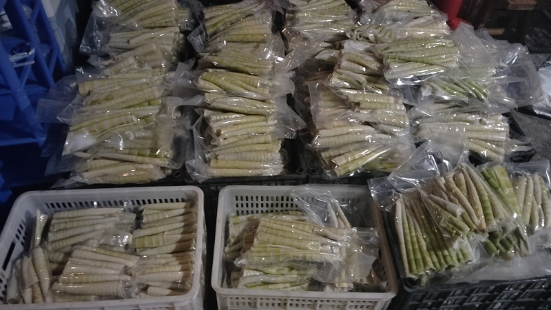 笋子，2斤重的15.8一袋