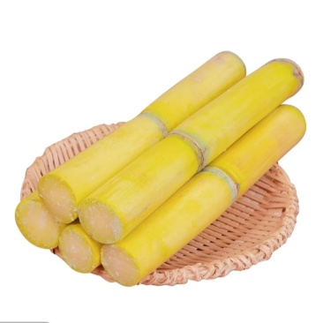 黄金甘蔗，云南黄金甘蔗，西双版纳黄金甘蔗