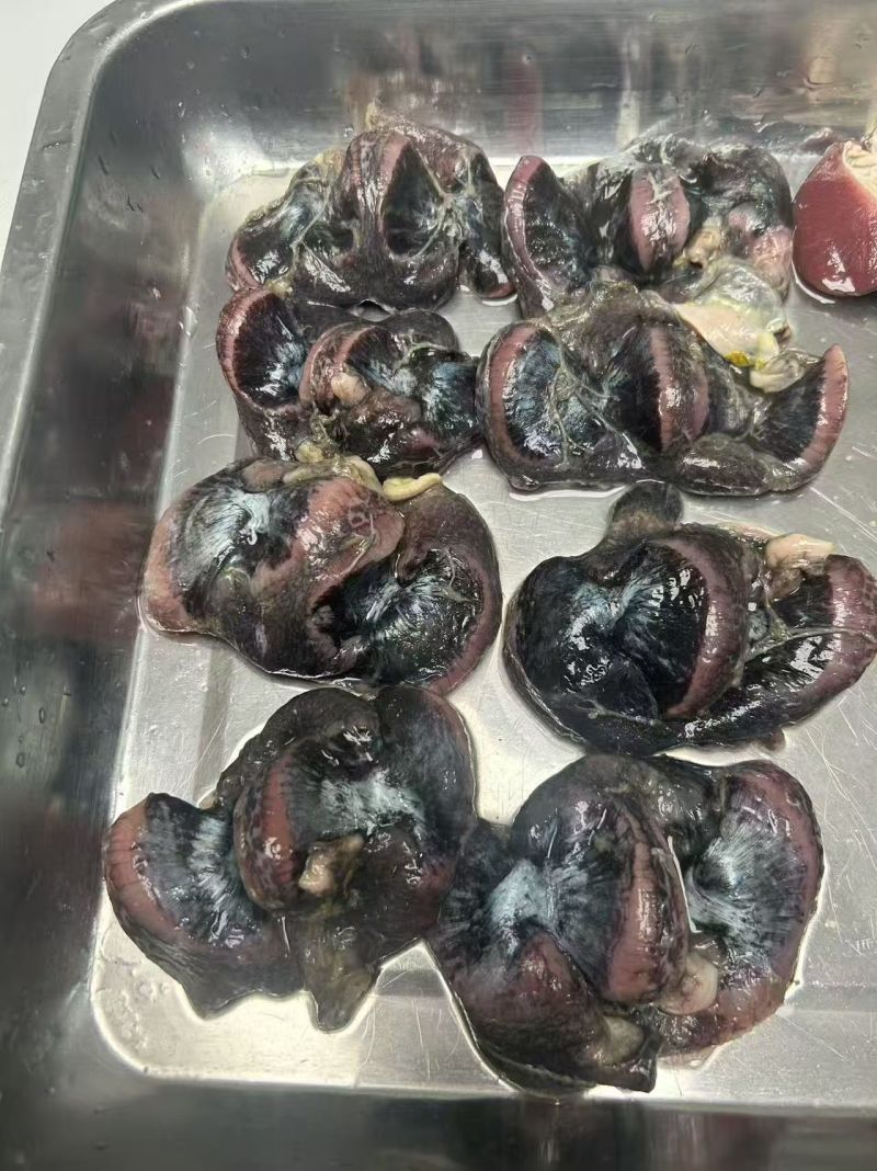 乌鸡胗纯干无水带肚调理规格齐全