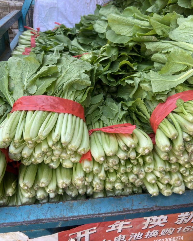 精品小白菜