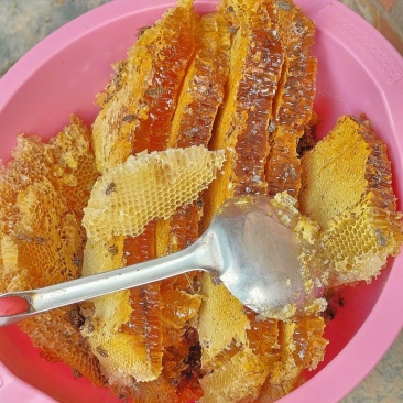 甘肃农村土蜂蜜，纯度100%，0添加，假一赔百。