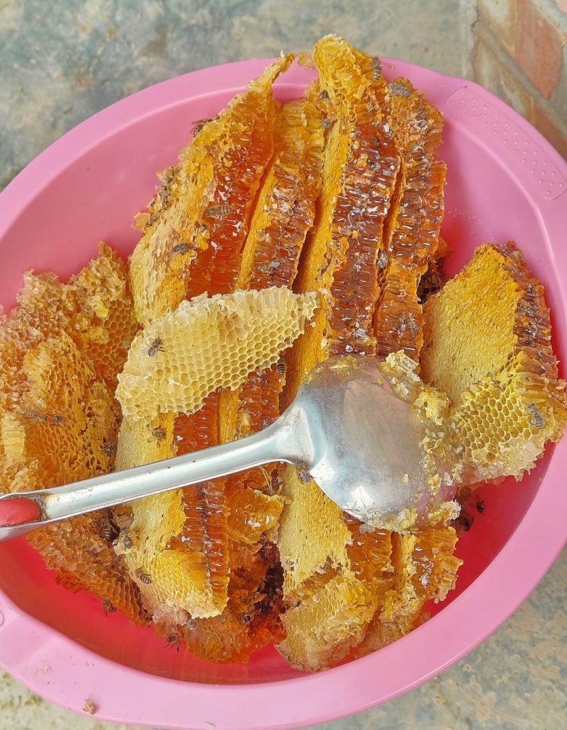 甘肃农村土蜂蜜，纯度100%，0添加，假一赔百。