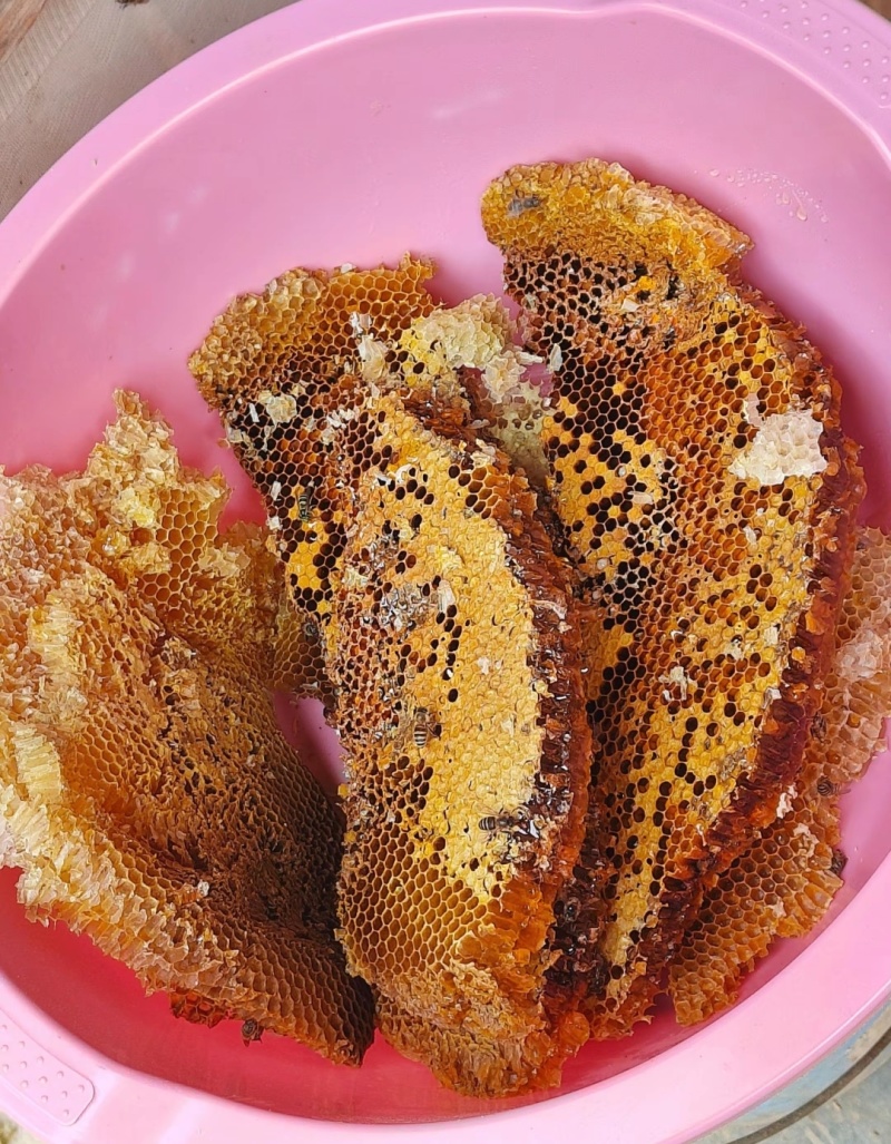 甘肃农村土蜂蜜，纯度100%，0添加，假一赔百。