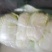 内蒙抱头白白菜