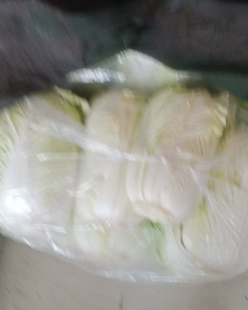 内蒙抱头白白菜