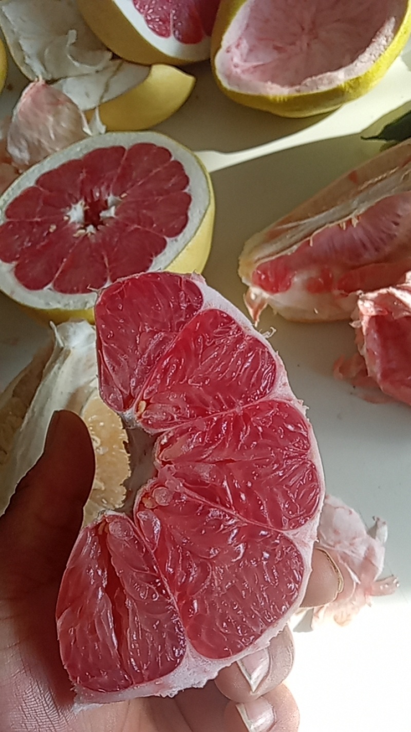 柚子