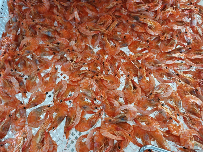 大连虾干