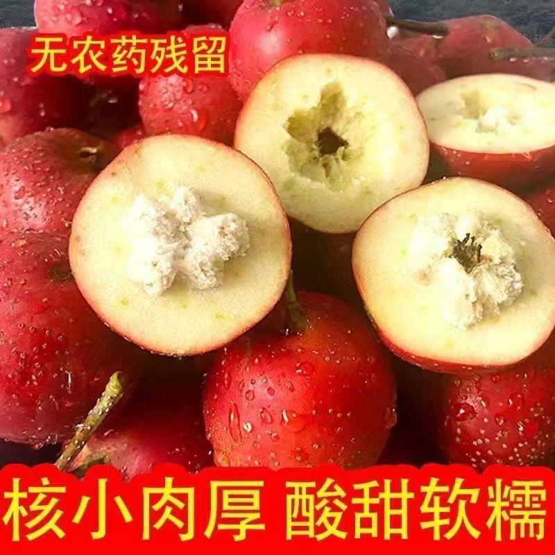 沂蒙山万亩山楂基地直供，品质保证，欢迎洽谈！