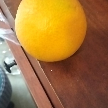 爱瑗38