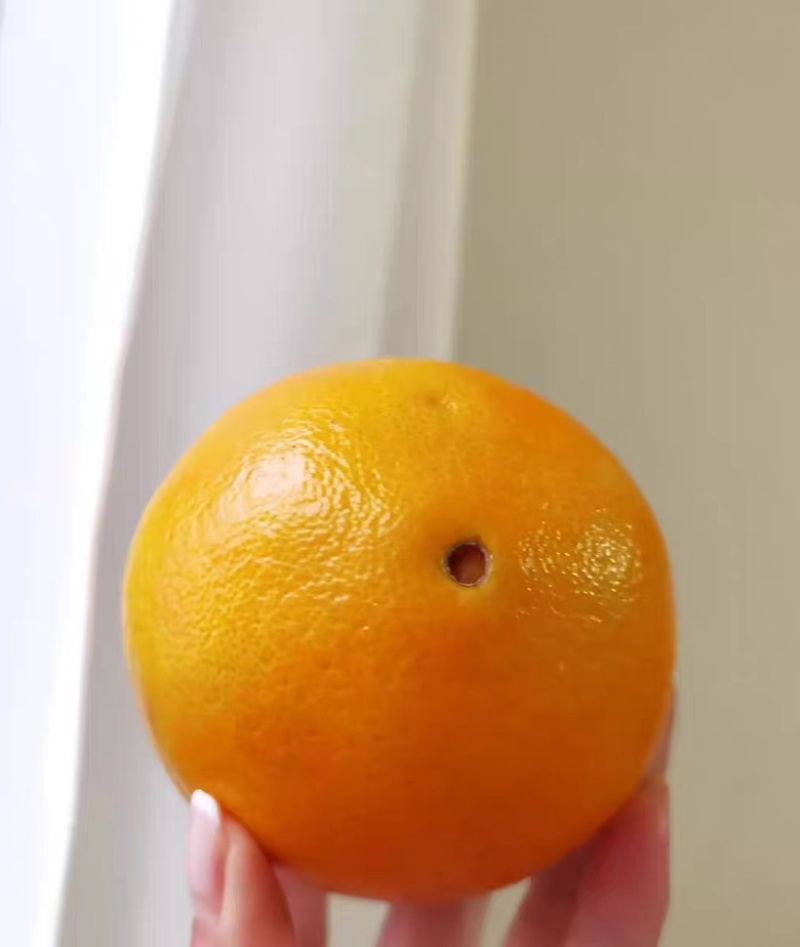 正宗江西赣南脐橙