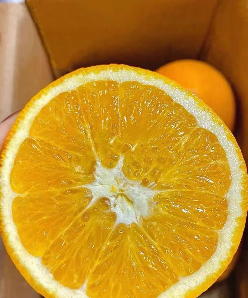 正宗江西赣南脐橙