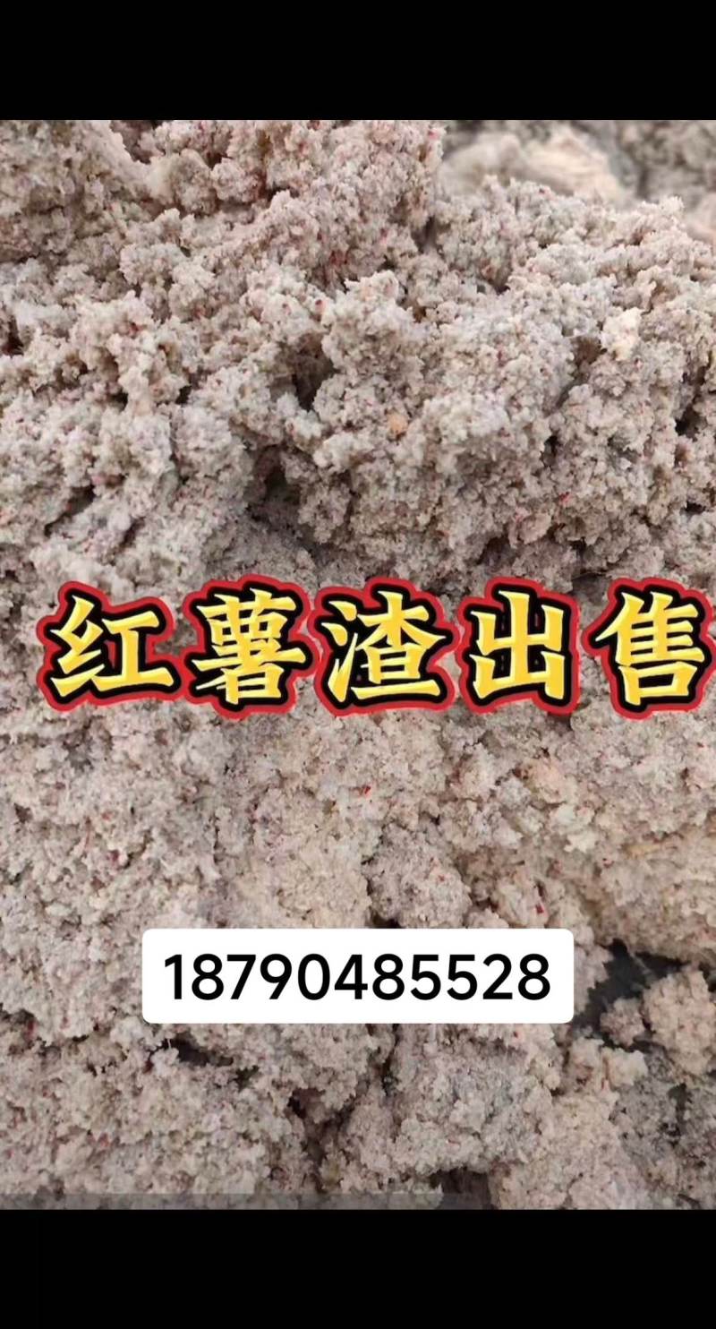 红薯粉渣