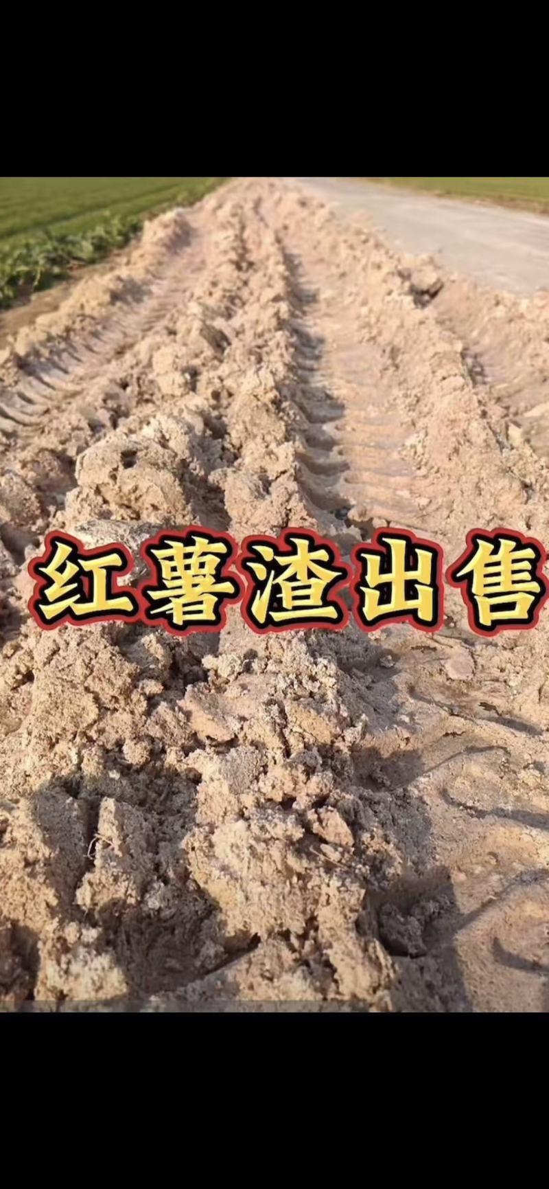 红薯粉渣