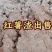 红薯粉渣
