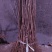 山丁子，嫁接苹果树苗**粘木，0.2—0.3公分粗