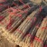 山药