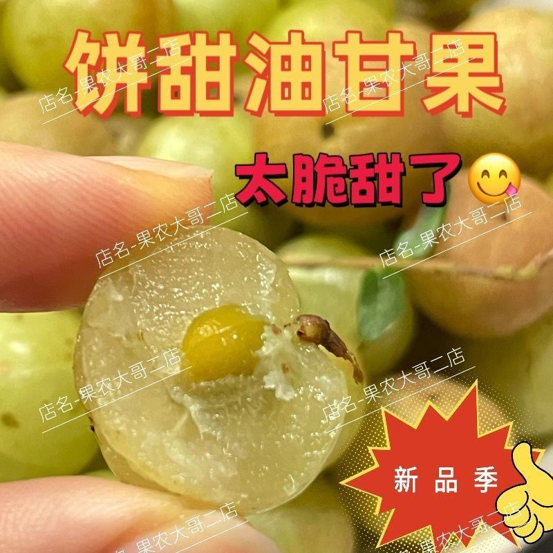 油柑