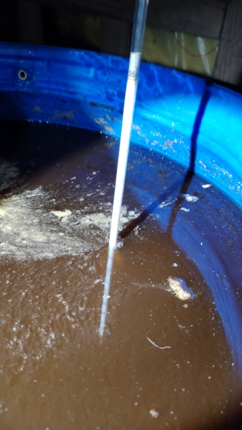 纯正土蜂蜜2吨现货