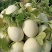 冰激凌玉菇甜瓜