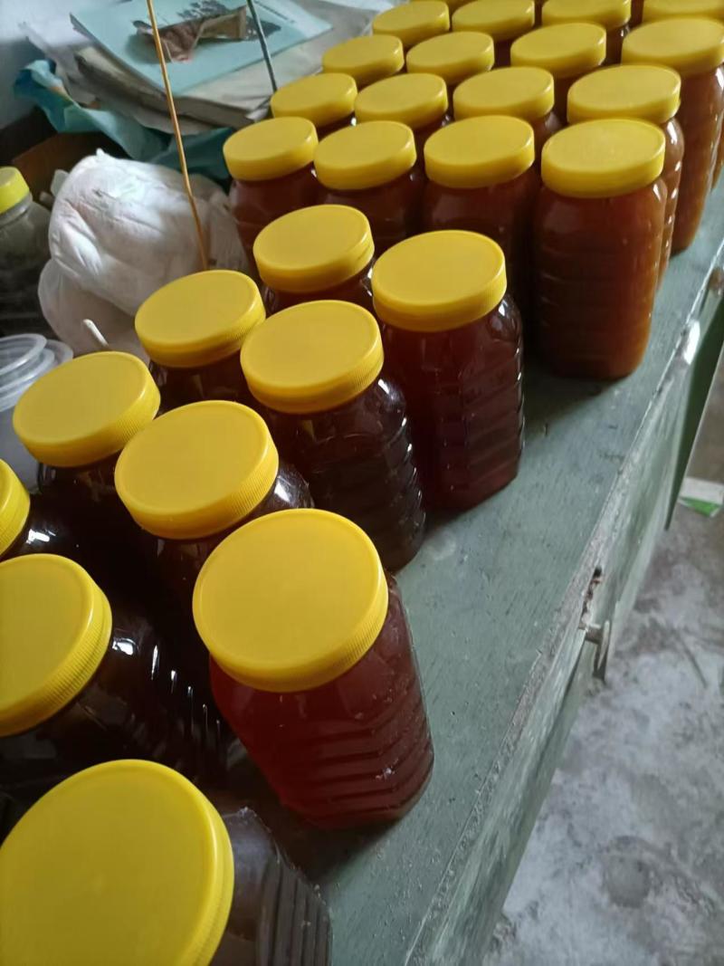 正宗土蜂蜜