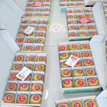 广西恭城脆柿精品货单果200-250克