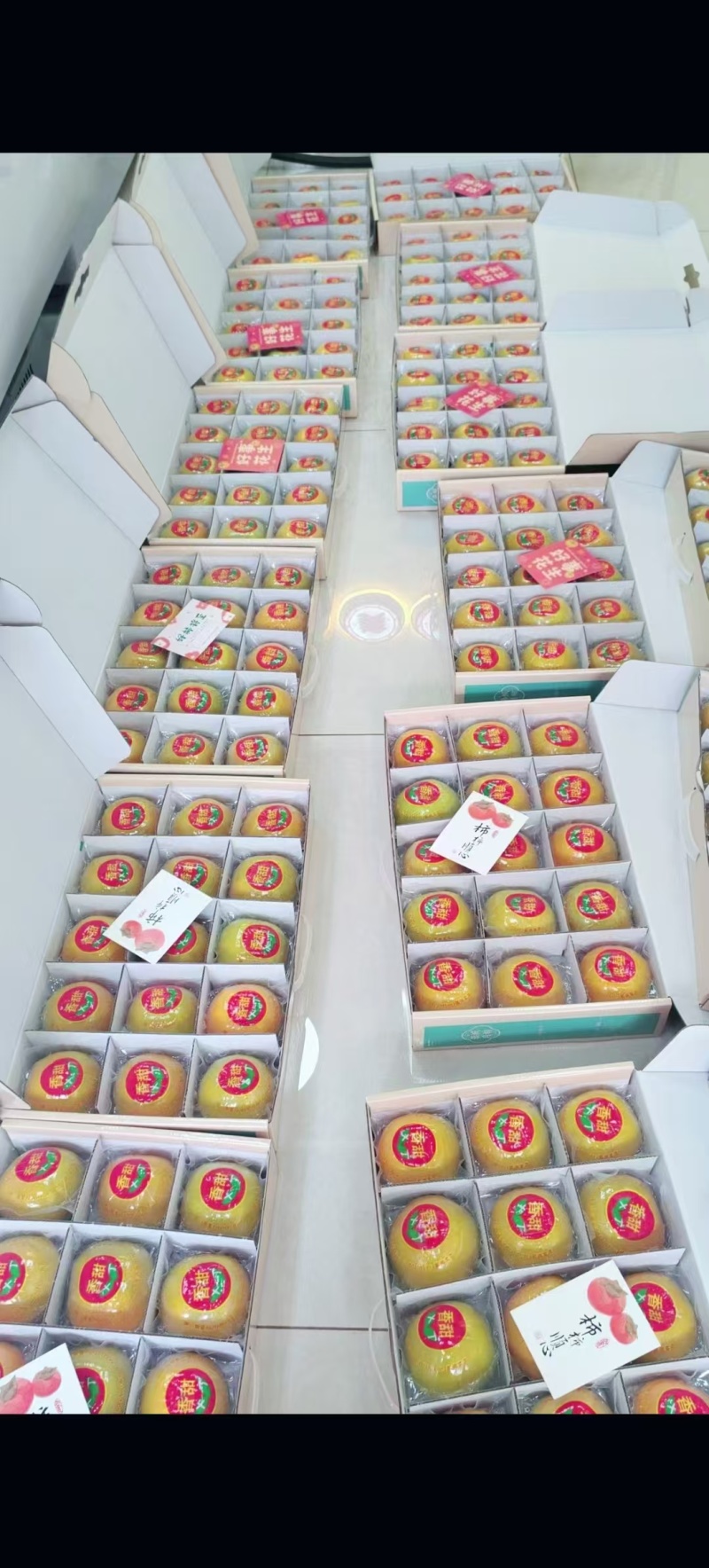 广西恭城脆柿精品货单果200-250克