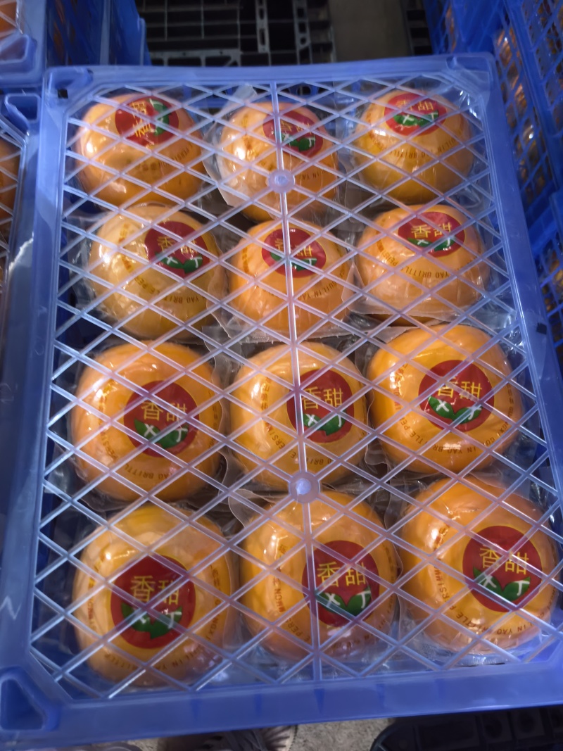 广西恭城脆柿精品货单果200-250克