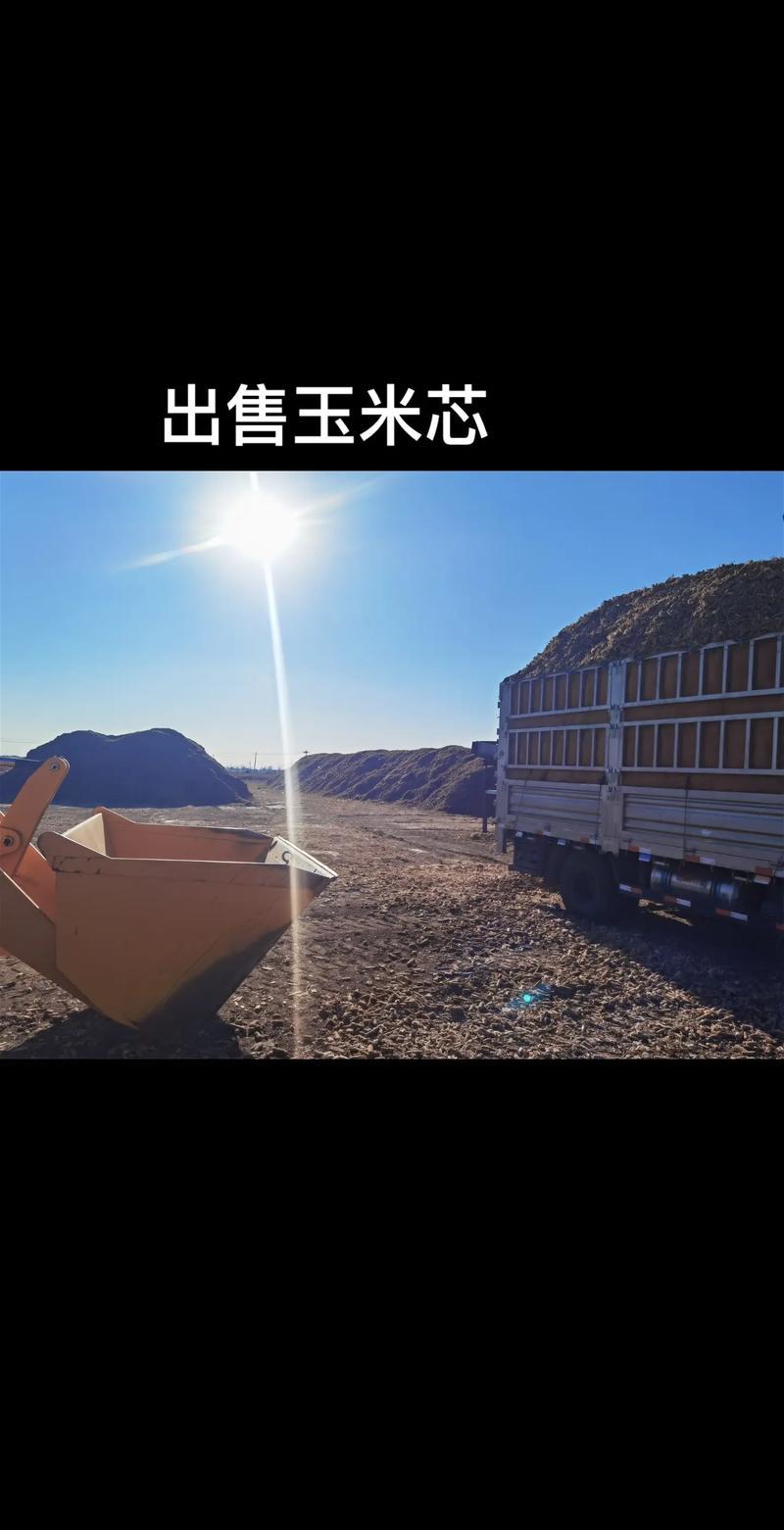 河南玉米芯