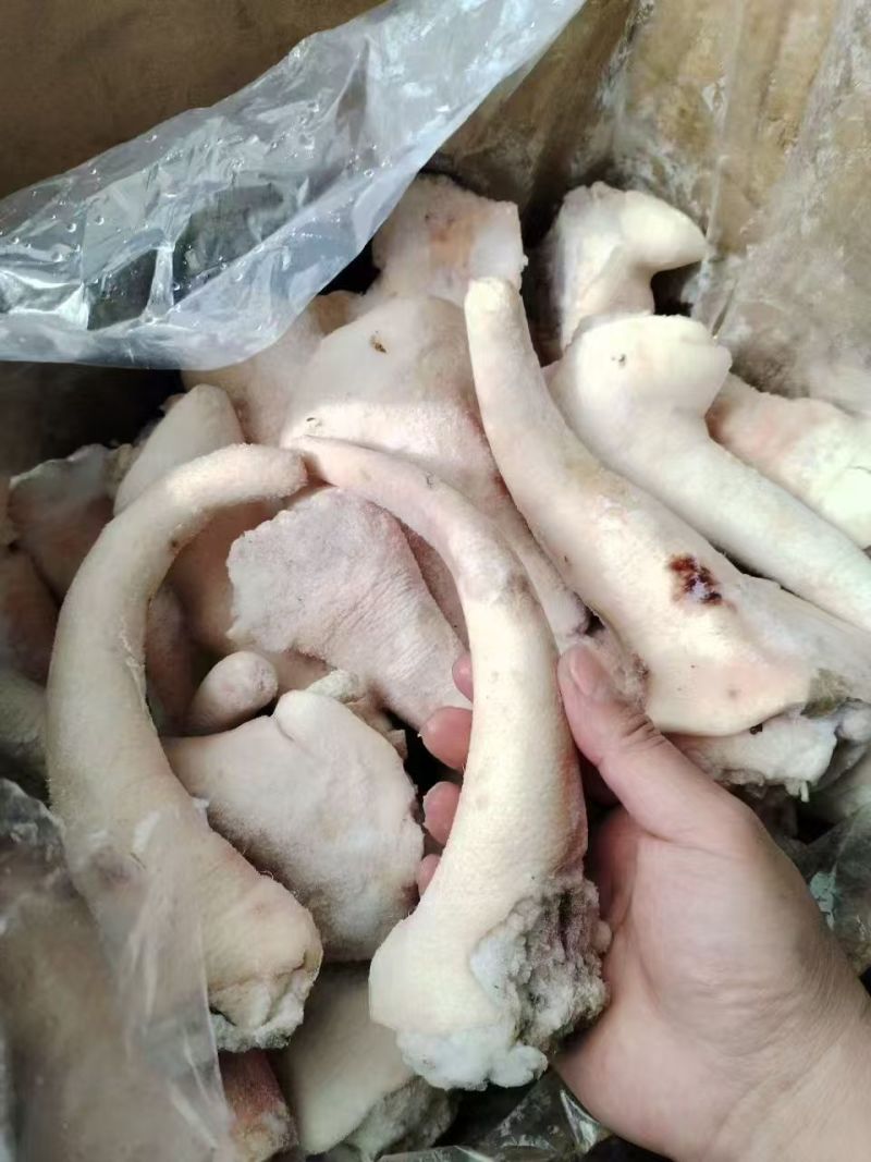 猪尾巴，母猪一级中尾巴安徽30吨，今年5月日期