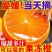 四川眉山爱媛果冻橙