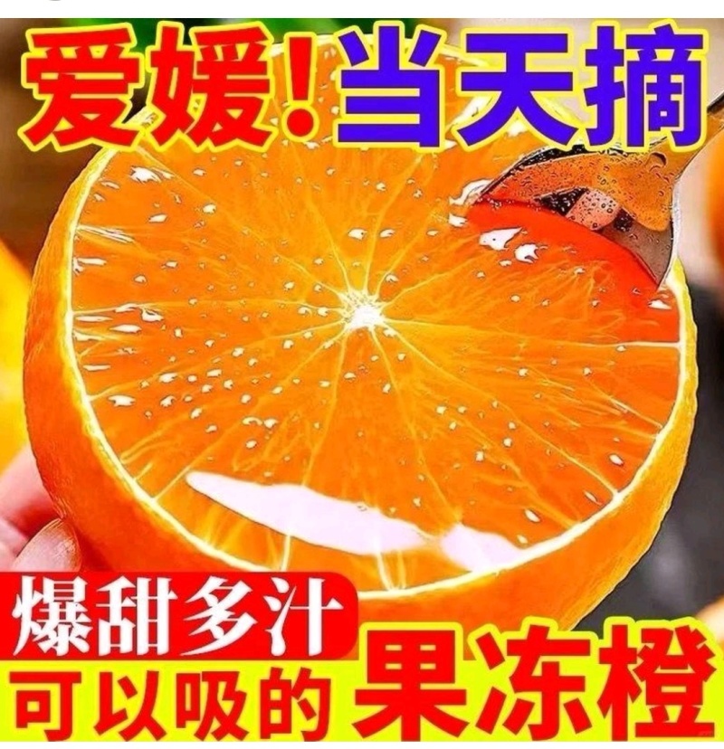 四川眉山爱媛果冻橙