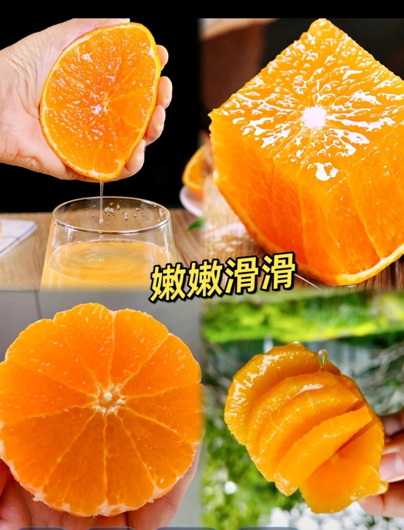 四川眉山爱媛果冻橙