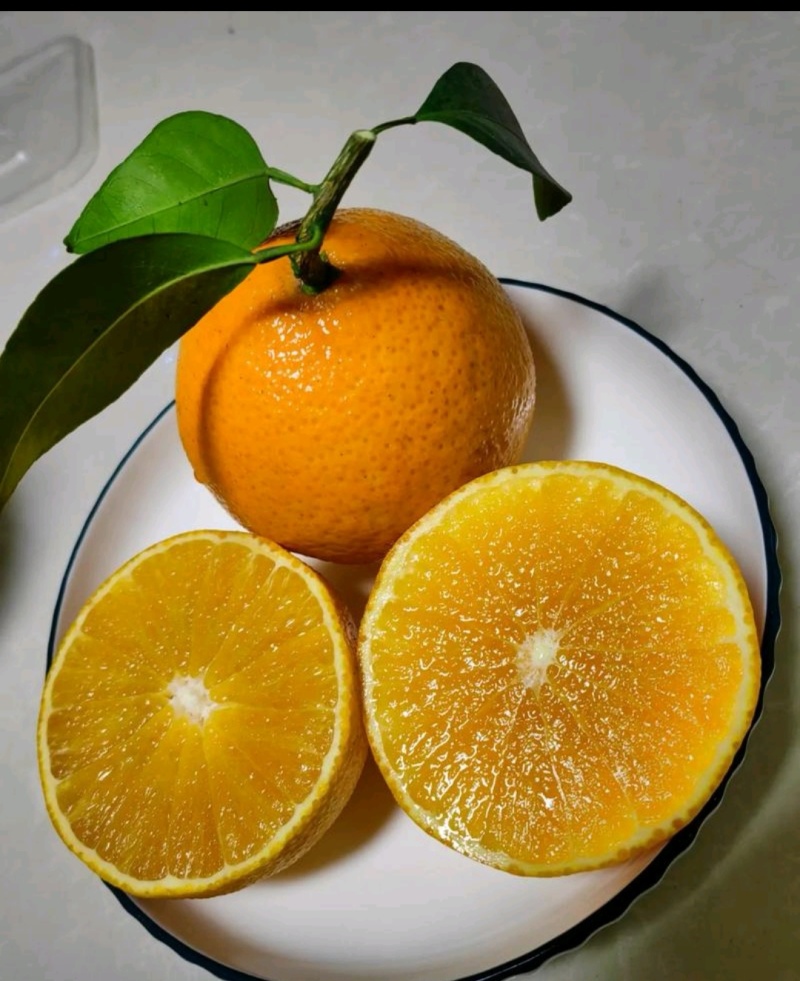 四川眉山爱媛果冻橙