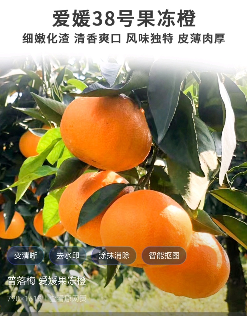 四川眉山爱媛果冻橙