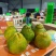 湖北丑橘70果75果带箱五斤电商一件代发