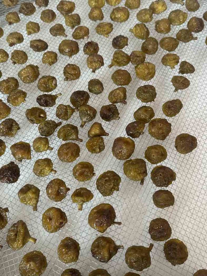 倒蒸无花果干