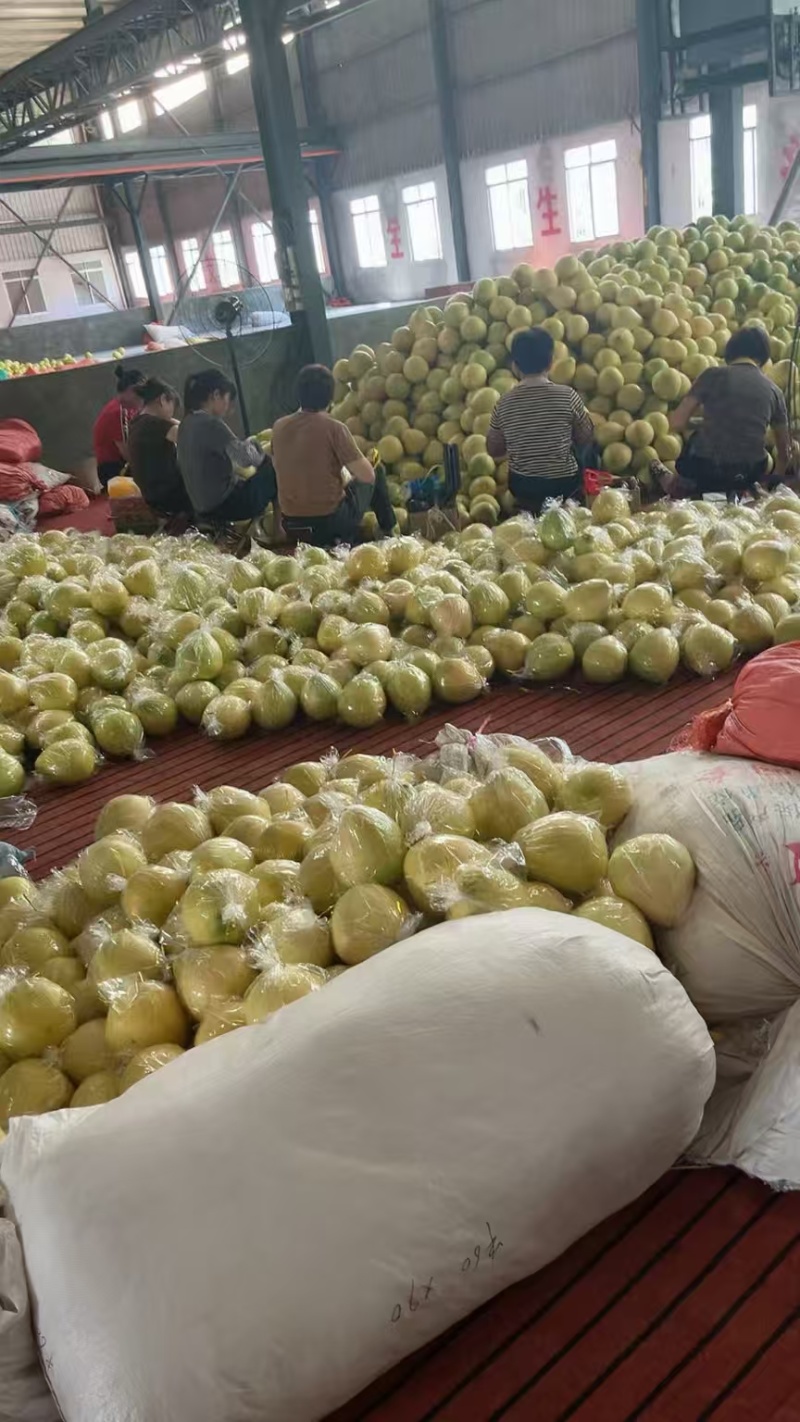量大价优包物流
