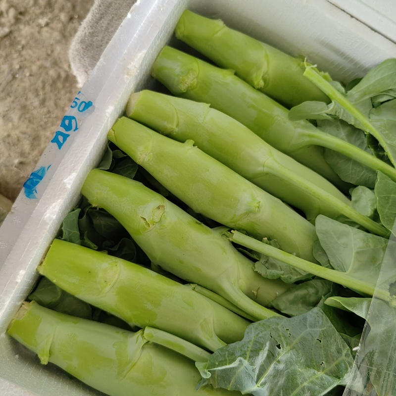 颗颗都是精品