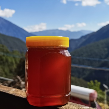 纯野生蜂蜜